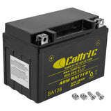 Caltric Agm Battery Compatible with Honda Vfr800 Vfr800A Interceptor 800 Abs 2002-2009 2014 2015