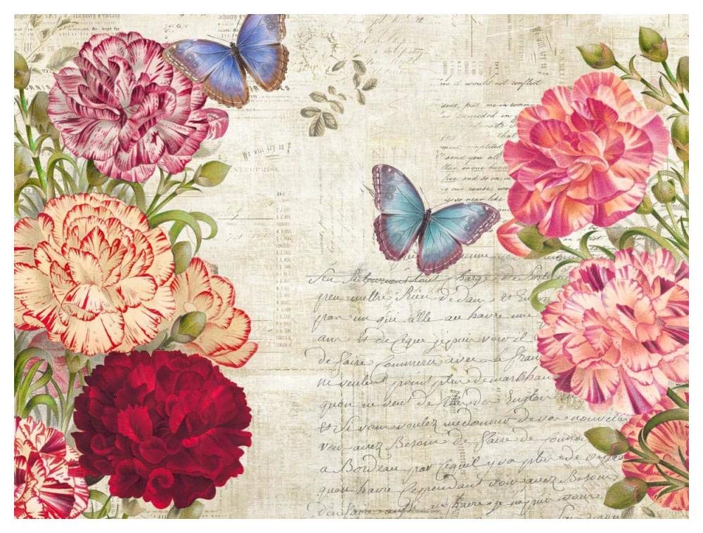 Botanique Moderne Iv-Paper Art-50,,X38,,