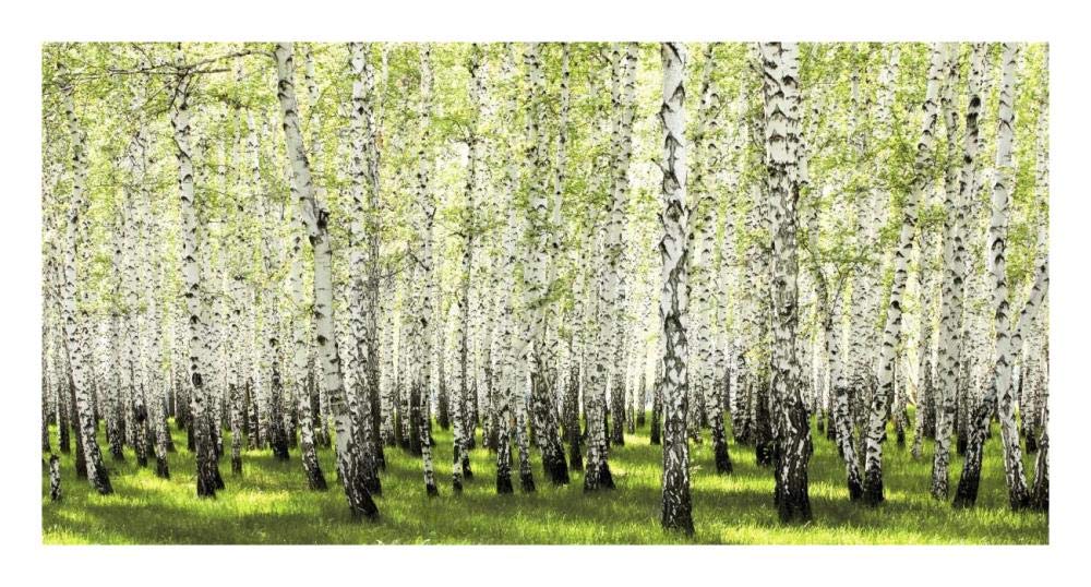 Birch Forest In Spring-Paper Art-26,,X14,,