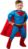 Rubies DC League of Super Pets: Superman Costume for Toddlers, Boy's 4T