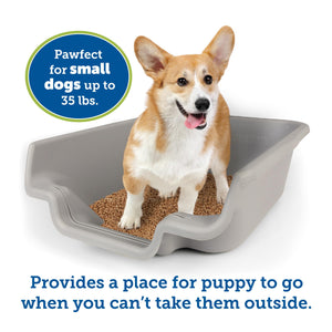 PuppyGoHere Dog Litter Box, Misty Gray Color, Extra Large Size, Durable & Pet Safe Puppy Litter Box, Indoor Open Top Entry Dog L