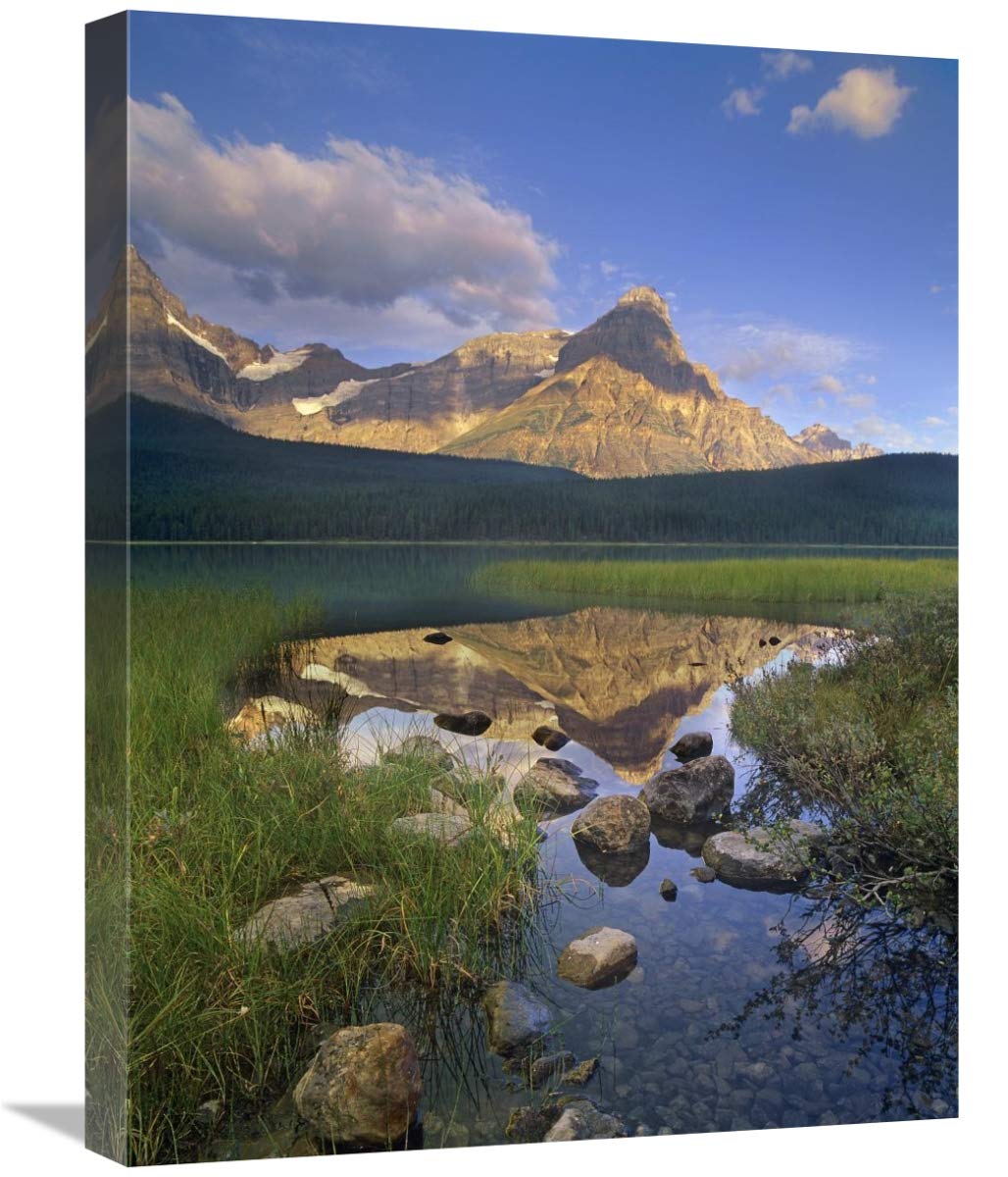 Mount Chephren And Waterfowl Lake, Banff National Park, Alberta, Canada-Canvas Art-18X24