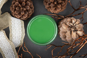 Dixie Belle Paint Company Chalk Finish Furniture Paint | Evergreen (16oz) | Matte Bold Green Chic Chalk Mineral Paint | DIY Furn