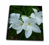 3dRose db_7437_1 3 White BeautiesDrawing Book, 8 by 8Inch
