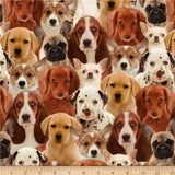 One Of A Kind Puppies Multi, Fabric by the Yard