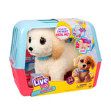 Little Live Pets Ouchies Cooper The Retriever Puppy, 50+ Sounds, Limping to Walking Puppy Toy with Vet Carrier, Interactive Toy 