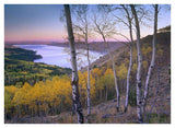 Aspen Forest Overlooking Fremont Lake, Bridger-Teton National Forest, Wyoming-Paper Art-42,,X32,,
