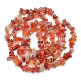 PLTbeads Gemstone Chips Natural Red Agate 3-5mm Healing Crystals Waist Bracelets Necklace Kit Irregular Stone DIY Crafts Design 