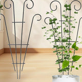 Enakshi Plants Trellis Multifunctional Garden Trellis For Garden Yard Indoor Outdoor|Yard, Garden & Outdoor Living | Gardening S