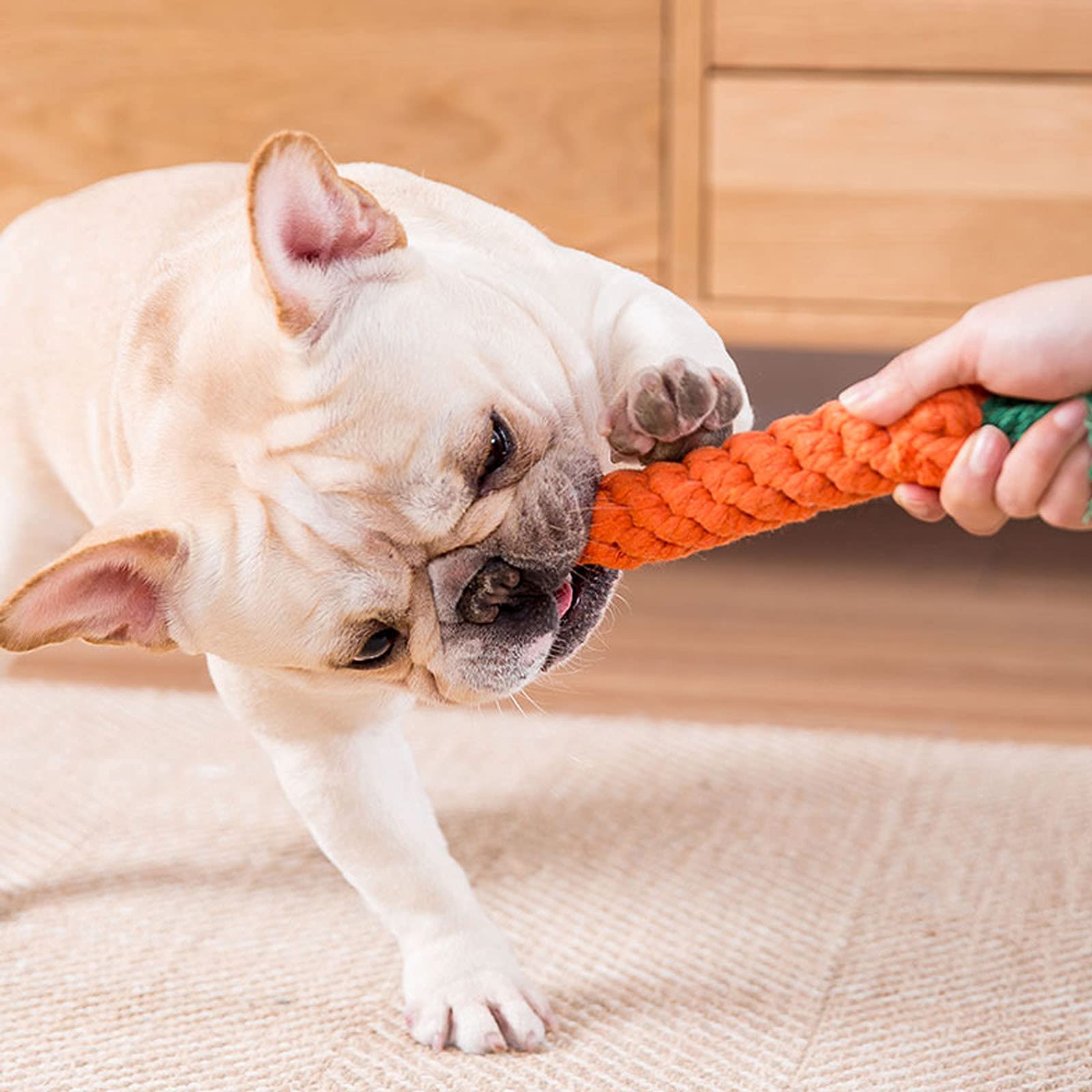 HESUILONG Dog Toys 3 PCS Puppy Teething Chew Toys,Dog Rope Toys,Cat Chew Toys,Safe Braided Rabbit Toys Healthy Gift
