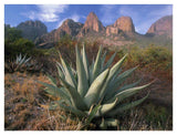 Chisos Agave And The Chisos Mountains, Big Bend National Park, Texas-Paper Art-42,,X32,,