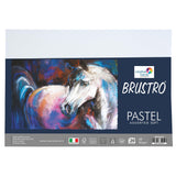 Brustro Artists Pastel Papers 160 Gsm A4 Assorted Soft Of 2 Packets (Each Packet Contains 20 Sheets)