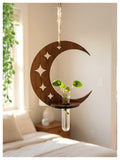 Hanging Moon Planter With Wooden Holder & Rope