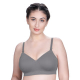 Trylo Bestie - 34 - Grey - E - Cup,GREY,34,B0D5QCNVHF