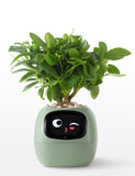 Moltrion Plantagotchi Ai Plant Pot With Expression Smart Planter Robot Guidance On Plant Companion With Rich Gesture Interacti