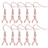 50pcs Stainless Steel Earring Hooks with Pendant Clasp Hypoallergenic Ear Wire Buckle Fish Hooks Dangle Earrings for Women DIY J