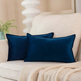 JUSPURBET Velvet Lumbar Throw Pillow Covers 14x24 Set of 2,Navy Blue