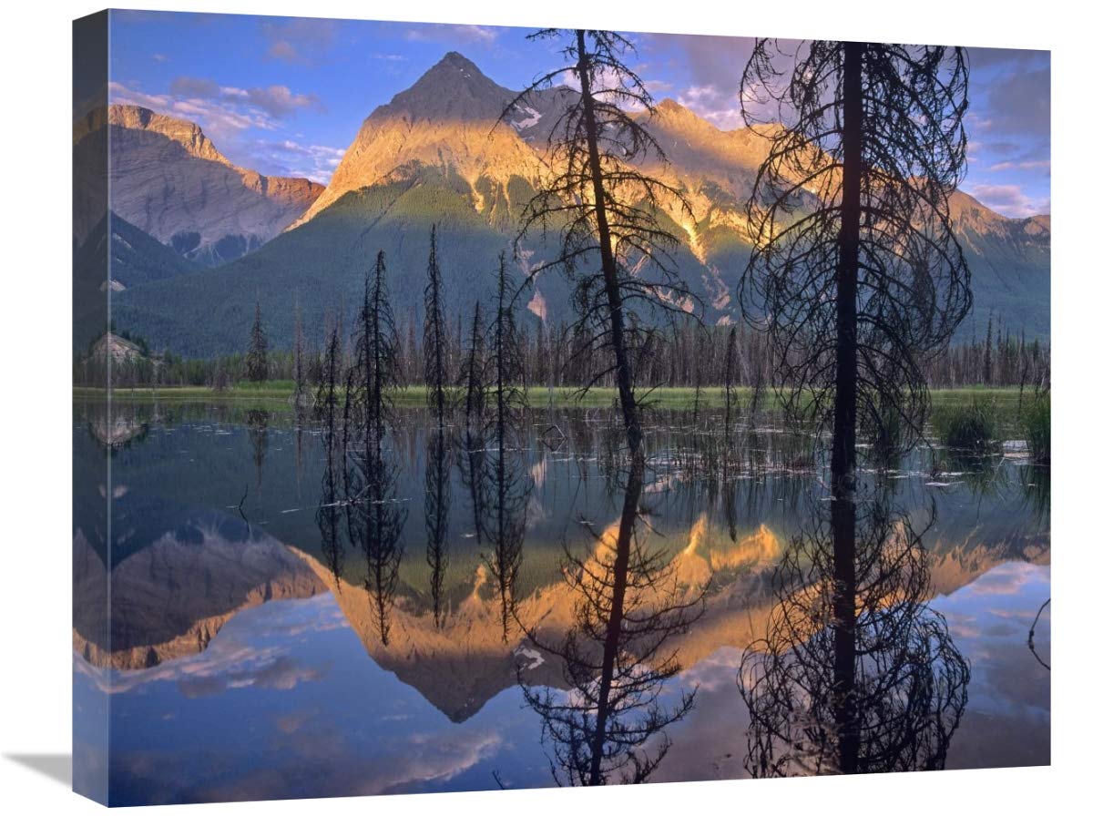 Chancellor Peak Reflected In Lake, Yoho National Park, Bc, Canada-Canvas Art-24X20