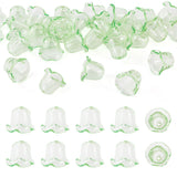 FASHEWELRY 30Pcs Wind Bell Beads Acrylic Flower Beads Caps Transparent Multi-Petal Floral Loose Bead for DIY Earring Wind Chimes