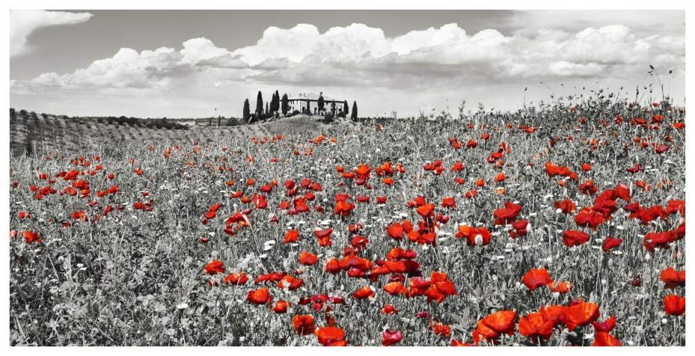 Farm House With Cypresses And Poppies, Tuscany, Italy-Paper Art-74,,X38,,