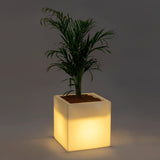 Blume 17.5 Inch Cube Large Planter With Led For Home & Balcony DCor, Gardening Planters, Decorative, Plastic Pot For Your Perfec