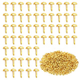300Pcs, Split Pins, 8x16mm Round Head Mini Paper Fasteners, Reusable Craft Brads Fasteners for DIY Scrapbooking, Card Making, Ph
