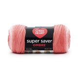 RED HEART E305.3967 Super Saver Ombre Yarn, Platinum