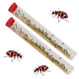Insect Lore Two Tubes of Live Ladybug Larvae - Raise 20-25 Pink Spotted Ladybugs - Life Science and STEM Education - Habitat Ref