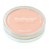 PanPastel 23808 Ultra Soft Artist Pastel, Red Iron Oxide Tint, 380.8