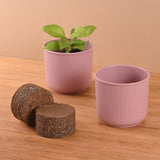 Eha Earth Friendly Statement Pot 4 Inch Pots And Planters With Growmix |Set Of 2| Table Top Planters For Gifting | Bamboo Based 