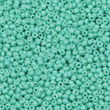 LEECOON 2mm Turquoise Color Seed Beads 100grams About 8800pcs Size 12/0 Small Seed Beads for Making Necklace Bracelet Earring Je