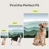 PetSpy Washable Pee Pads for Dogs 2-Pack (18x24) - Waterproof Reusable Puppy Pads No-Slip Surface - Stylish Dog Potty Training P