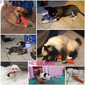 HESUILONG Dog Toys 3 PCS Puppy Teething Chew Toys,Dog Rope Toys,Cat Chew Toys,Safe Braided Rabbit Toys Healthy Gift