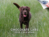 2025 2026 Labrador Chocolate Calendar - Dog Breed Monthly Wall Calendar - 12 x 18 Open - Thick No-Bleed Paper - Giftable - Acade