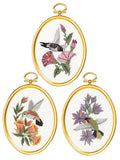 Janlynn 0040864 Hummingbirds Embroidery Kit, MultiColored
