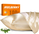 100% Mulberry Silk Pillowcase For Hair And Skin, 22 Momme Natural Silk Pillow Case With Zipper, Both Sided Pure Silk Pillow Cove