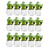 Anandi GreenS White Color Uv Protected Double Layer Poly Plastic Grow Bag For Home Garden Terrace Gardening Kitchen Gardening (