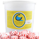 Horse Quenchers Peppermint Flavored Horse Hydration Supplement, Thirst Quencher for Horses, 13 lbs Pail, All-Natural Grains for 