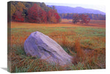 Boulder And Autumn Colored Deciduous Forest, Cades Cove, Great Smoky Mountains National Park, Tennessee-Canvas Art-24X18