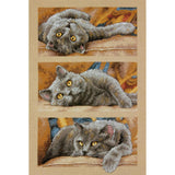 Dimensions 7035301 Max the Cat Counted Cross Stitch Kit, 14 Count Beige Aida, 10 x 15