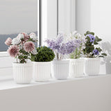 Gripzo 4 Inch Flower Pot For Indoor Plants, Plastic Plant Pot, Decorative Flower Pot, Round Ribbed Planter, Small Plant Pot, Suc