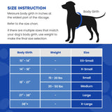 Paws Aboard Dog Life Jacket, Fashionable Dog Life Vest For Swimming And Boating - Neon Yellow