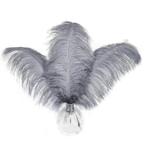 HAPPY FEATHER 16-18 inch Gray Ostrich Feathers Craft for Wedding Party Centerpieces Home Decoration DIY Craft Pack of 10