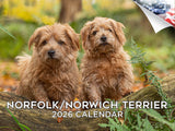 2025 2026 Norfolk/Norwich Calendar - Dog Breed Monthly Wall Calendar - 12 x 18 Open - Thick No-Bleed Paper - Giftable - Academic