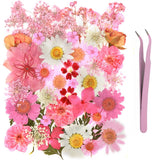 40Pcs Natural Pressed Dried Flowers Resin, Dry Flowers for Resin Accessories with Tweezer, Dried Flower for Scrapbooking DIY Art