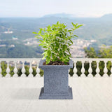 Bonkaso 10 Inch Light Grey Tulsi Pot Tall, Durable & Lightweight German Polymer Planter For Indoor & Outdoor Use: Home, Office