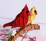 PQDGlobal 3D Popup Card of Cardinal Bird Couple, Paper Art & Handicraft, Greeting Card, Birthday, Anniversary, Christmas, Mother