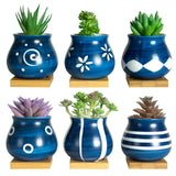 Cute Succulent Pots With Drainage Bamboo Tray 3 Succulent Planters With Drainage Hole Ceramic Planter Tiny Pots For Indoor Sm