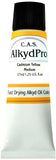C.A.S. Paints AlkydPro Fast-Drying Oil Color Paint Tube, 37ml, Cadmium Yellow Medium