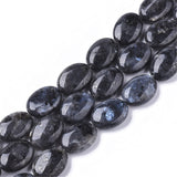 Fashewelry 20pcs Natural Black Labradorite Stone Beads Flat Oval Healing Crystal Loose Gemstone Beads 18x13.5mm for Jewelry Neck